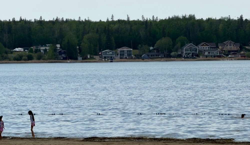 A lake with people swimming and playing near the shore; houses and trees line the opposite bank in the background, evoking a classic day at Wabamun Lake