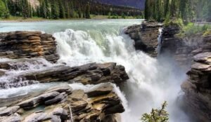 Wide waterfall cascades over layered rocks surrounded by evergreen trees, with a river flowing in the background—a breathtaking wonder in Alberta Athabasca Falls in Albertafeatured in every top Alberta travel guide.