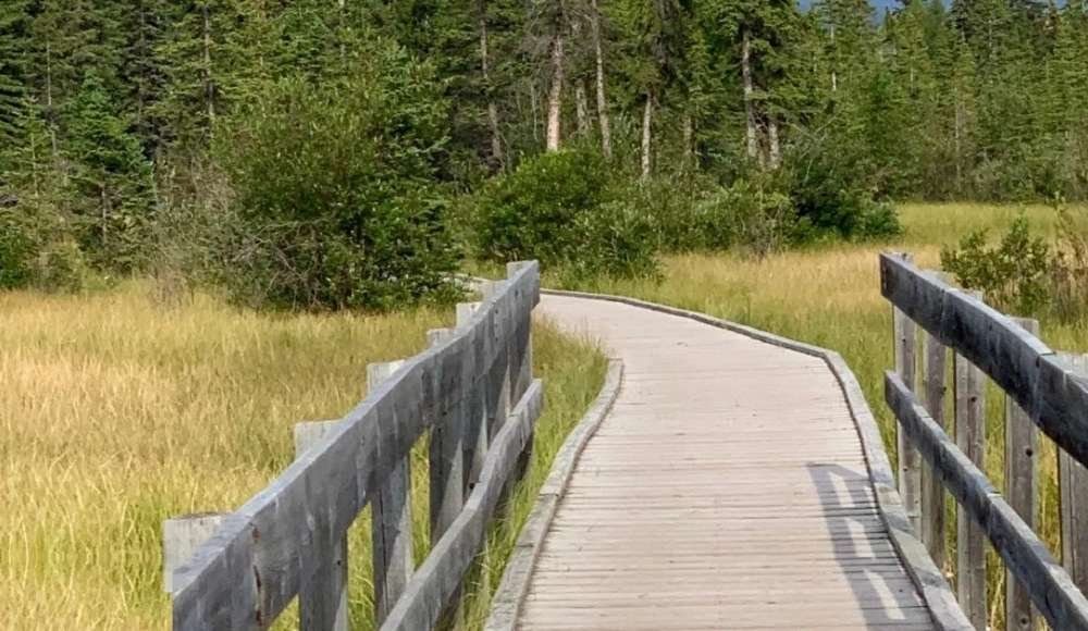 Policeman's Creek trails in Canmore.