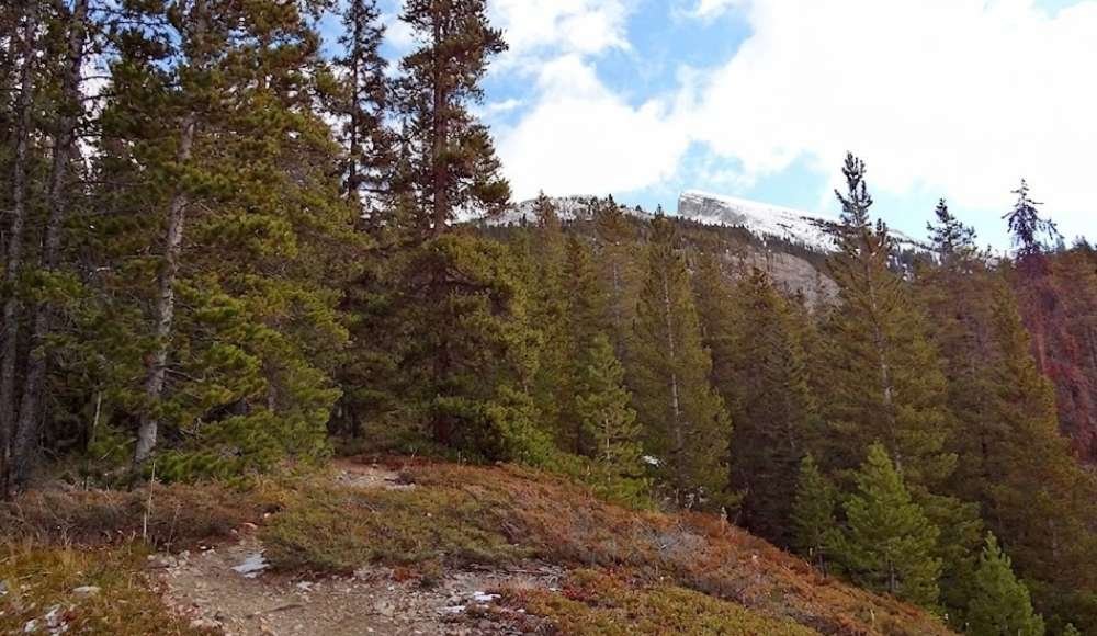 Read's Tower Hiking Trail in Canmore