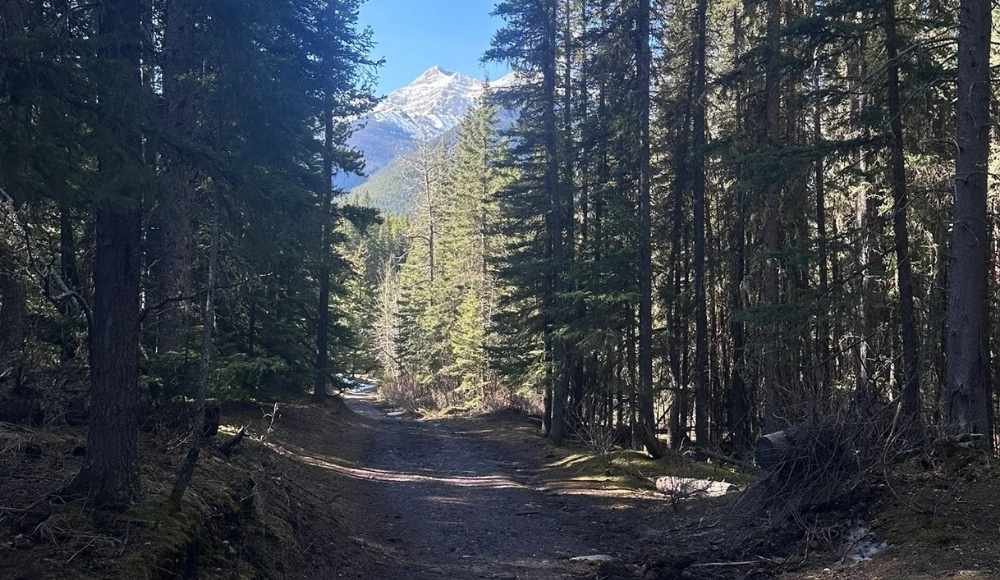 Wind Ridge Canmore.