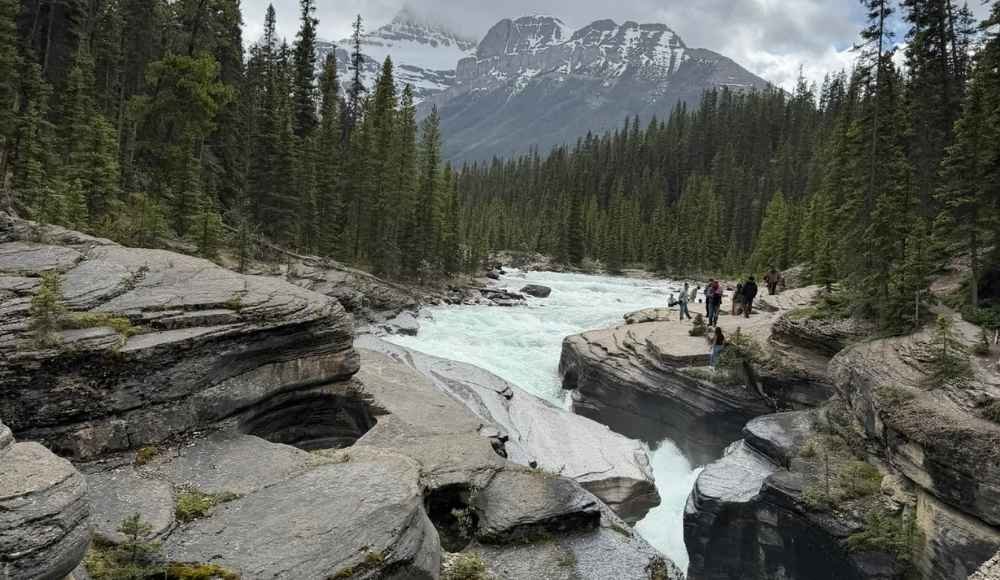 Mistaya Canyon Icefields Parkway.
