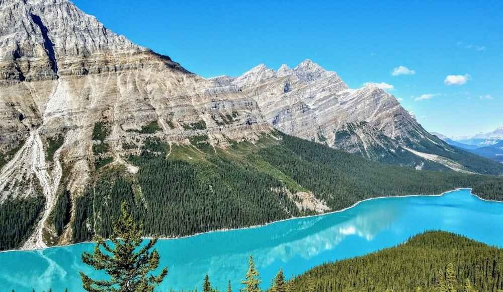 Peyto Lake—one of the unforgettable stops on the Icefields Parkway during your Banff to Jasper drive.