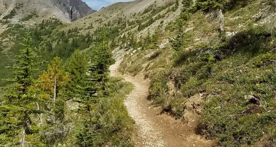 Cory Pass Loop