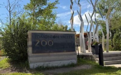 Edmonton Valley Zoo: The Complete Visiting Guide For 2026
