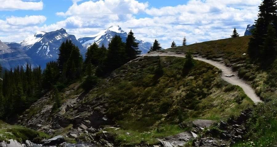 Helen Lake Trail