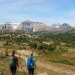 Three hikers with backpacks walk on a trail through a grassy landscape, with mountains and patches of snow in the distance under a blue sky—one of the scenic easy hikes in Banff perfect for beginners.