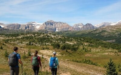 12 of the Best Hikes in Banff for Every Skill Level