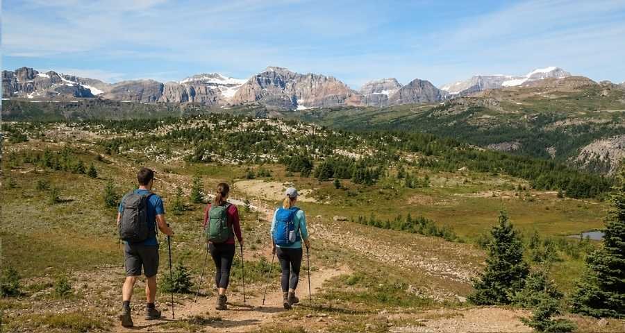 Sunshine Meadows Hike