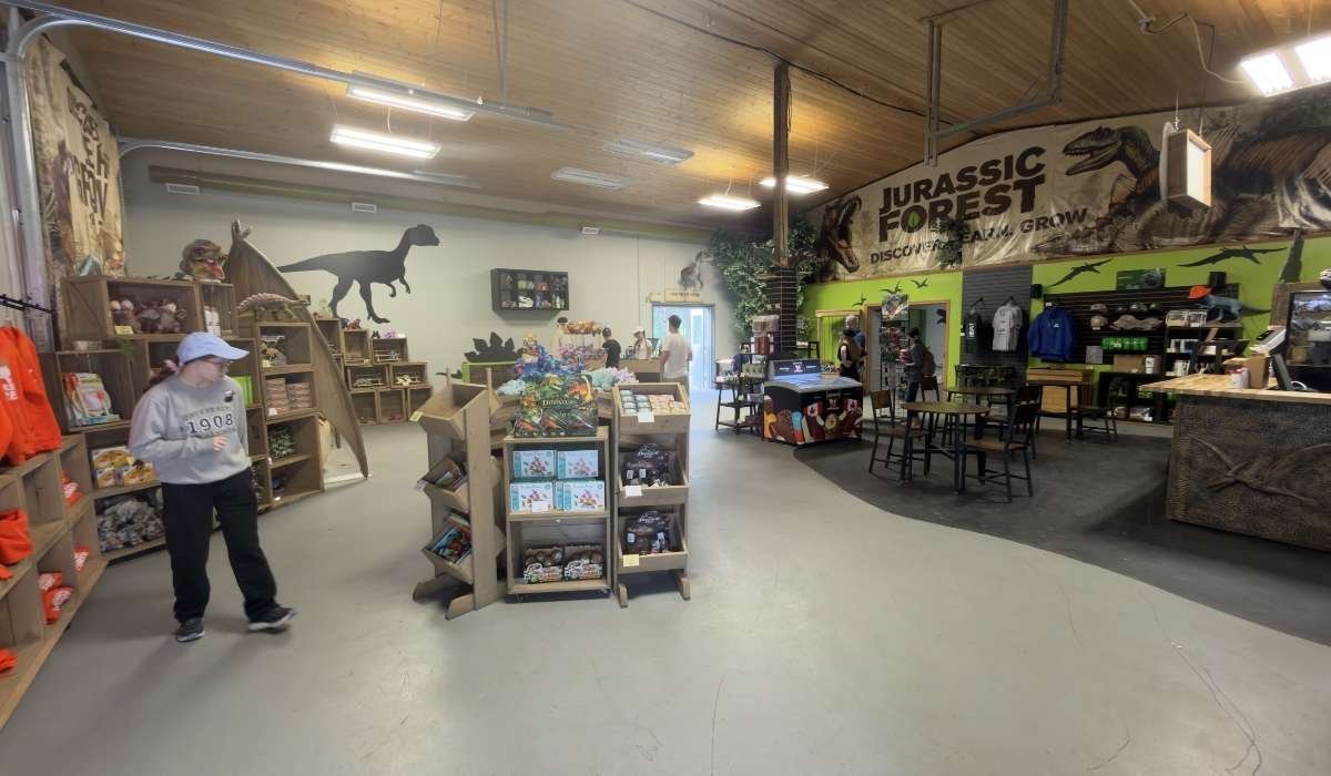 Gift shop at the Jurassic Forest, Gibbons.