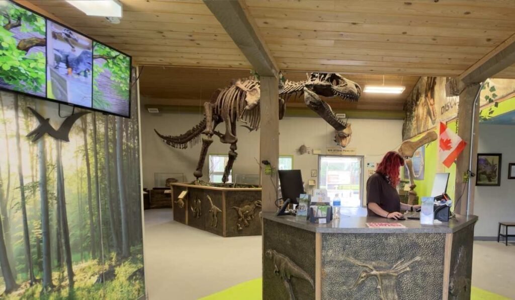 Admission desk inside Jurassic Forest with dinosaur fossils and displays in the visitor centre