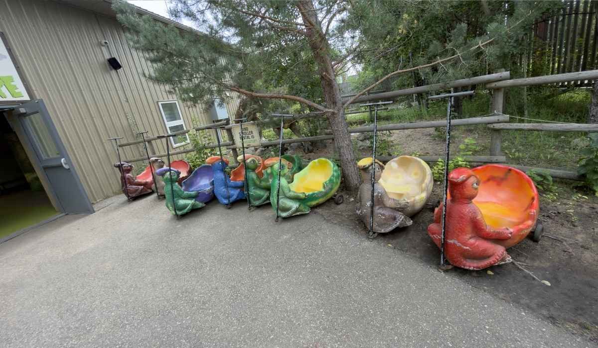 Colorful dinosaur wagons available for rent at Jurassic Forest