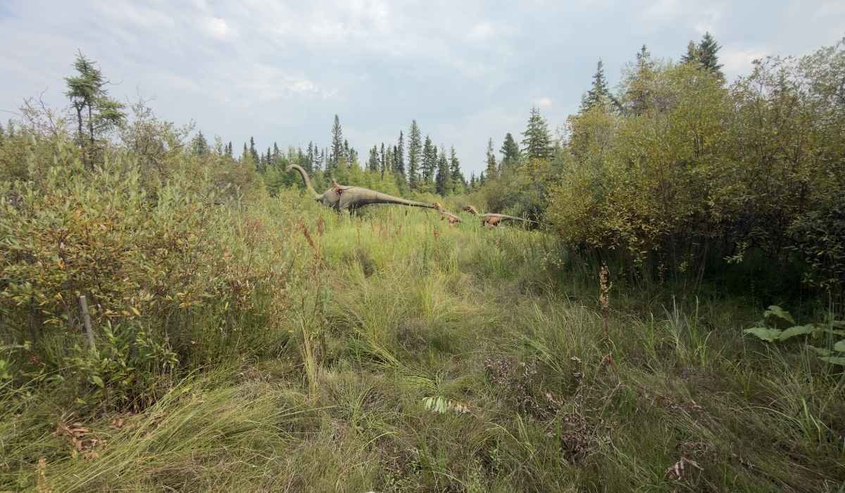 Dinosaur models appear in a grassy clearing surrounded by trees along the Jurassic Forest trail.
