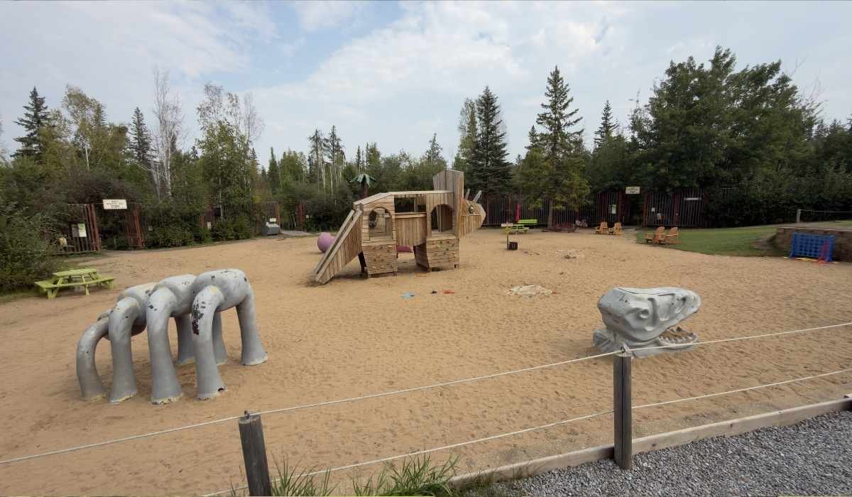 Dinosaur-themed playground with climbing equipment and sand area at Jurassic Forest