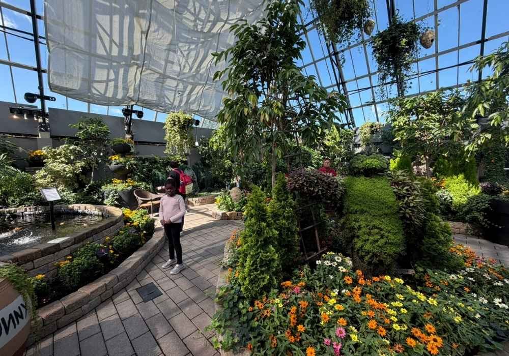 A young girl stands on a path inside the Muttart Conservatory, surrounded by lush greenery, vibrant flowers, and sunlight streaming through the glass ceiling.