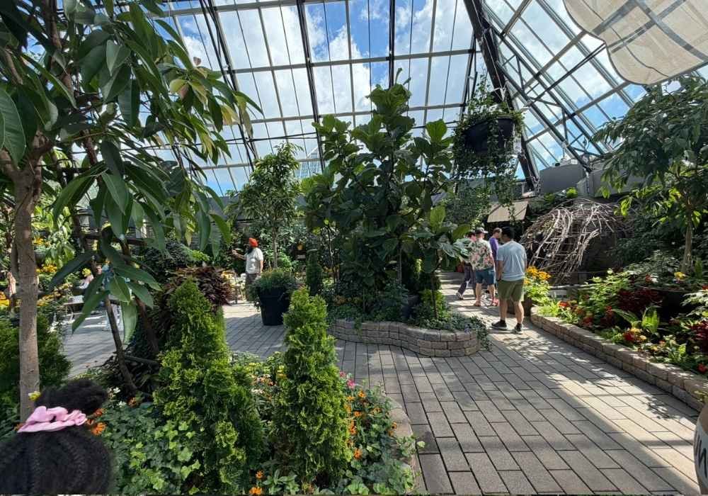 People walk through the Muttart Conservatory, a stunning greenhouse filled with various plants, trees, and flowers under a glass ceiling on a sunny day.