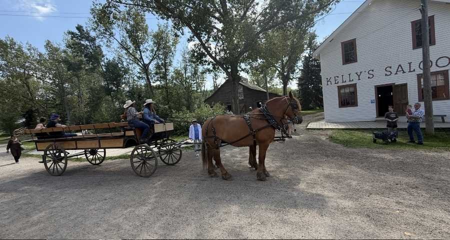 Horse-drawn wagon on 1885 Street at Fort Edmonton Park