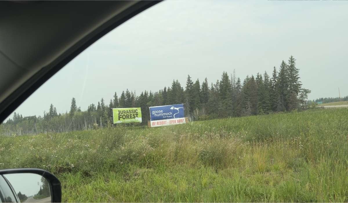 Jurassic Forest sign along the highway near Gibbons, Alberta, viewed from a car.