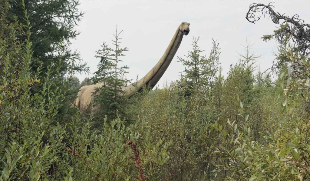 Large long-necked dinosaur model rising above the trees at Jurassic Forest