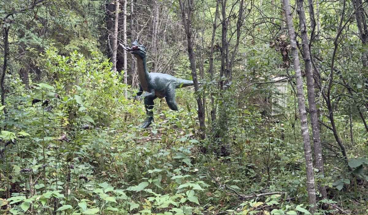A long-necked dinosaur in Jurassic Forest.