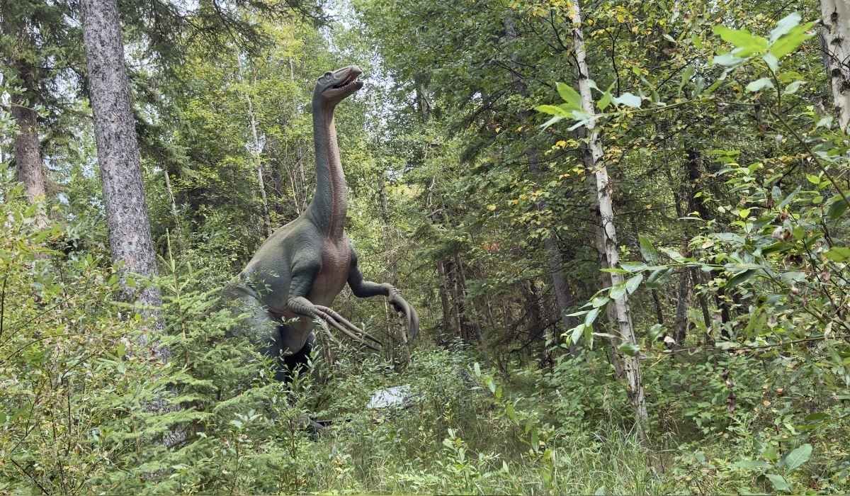 Long-necked dinosaur display standing among dense forest vegetation at Jurassic Forest