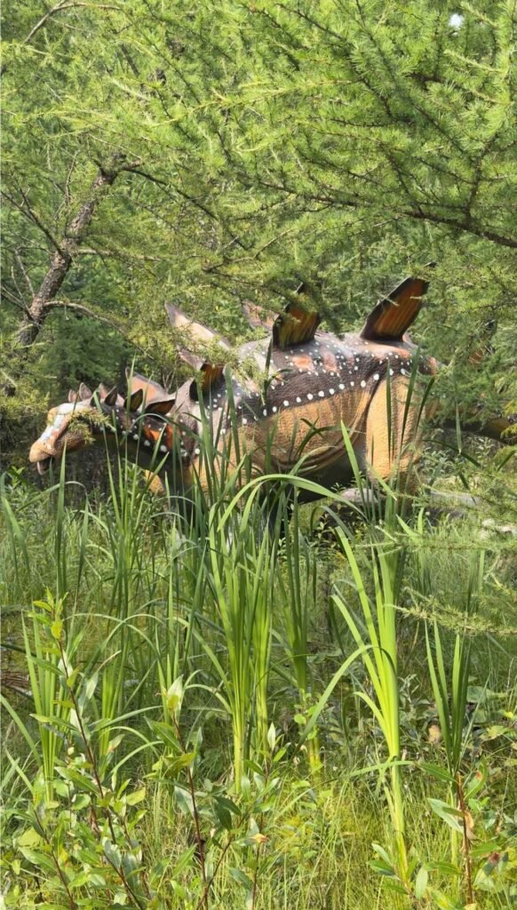 Stegosaurus dinosaur model hidden among trees at Jurassic Forest