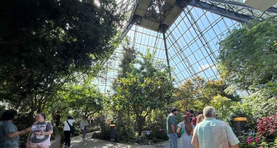People walk inside the Muttart Conservatory, a large glass greenhouse filled with various green plants and trees under bright natural light.