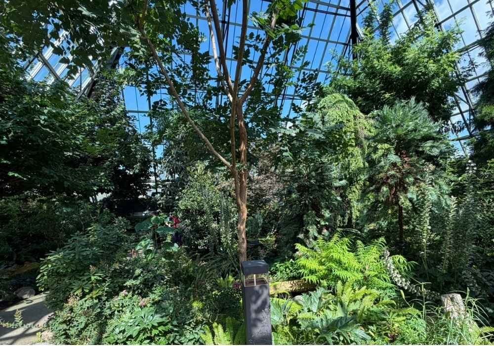Temperate Pyramid flowers at the Muttart Conservatory.