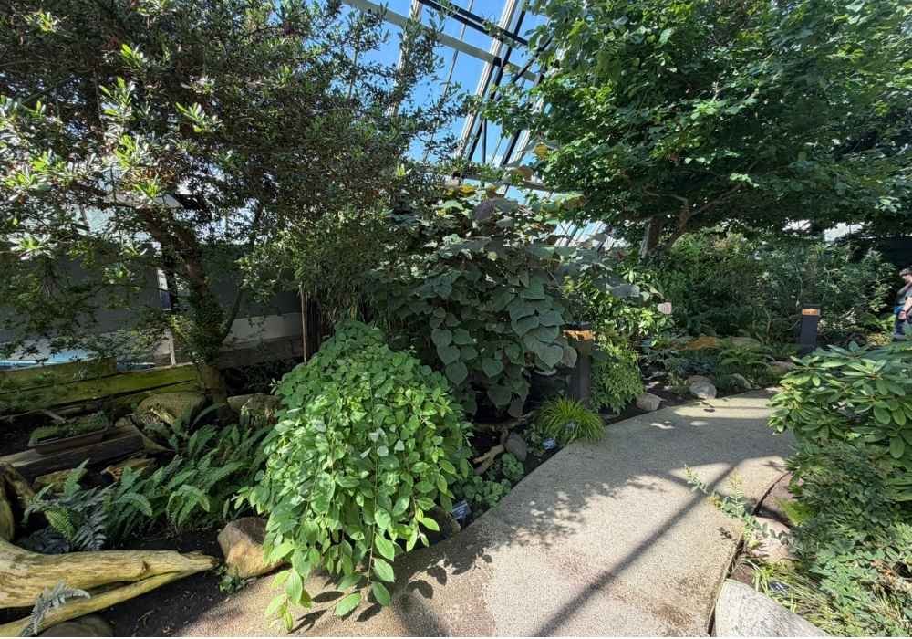 Indoor garden reminiscent of the Muttart Conservatory, with various green plants, trees, and a curved stone pathway under a glass ceiling. Sunlight streams through the roof, casting shadows on the path.