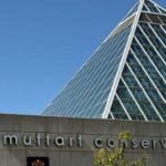 The Muttart Conservatory in edmonton, Alberta
