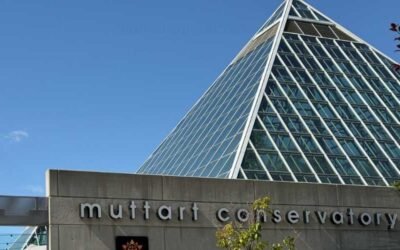 Muttart Conservatory in Edmonton: The Best Visitor’s Guide